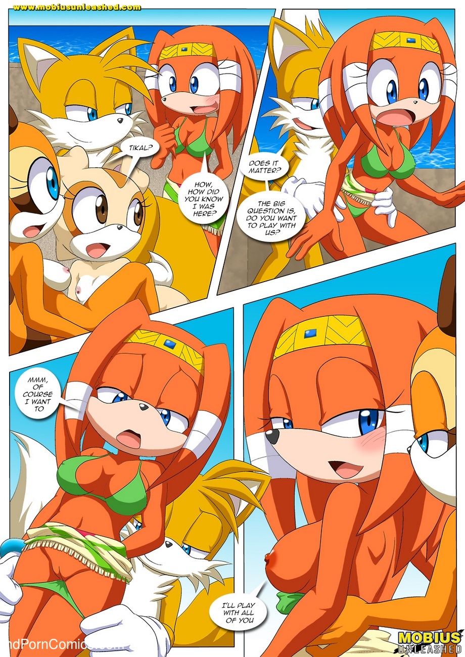 bbmbbf comic cream_the_rabbit marine_the_raccoon miles_"tails"_prower mobius_unleashed palcomix poolside_fun_extended sega sonic_(series) sonic_the_hedgehog_(series) tikal_the_echidna