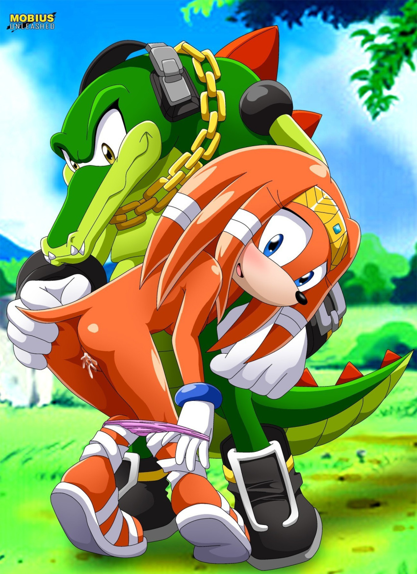 bbmbbf mobius_unleashed palcomix sega sonic_(series) sonic_the_hedgehog_(series) tagme tikal_the_echidna vector_the_crocodile