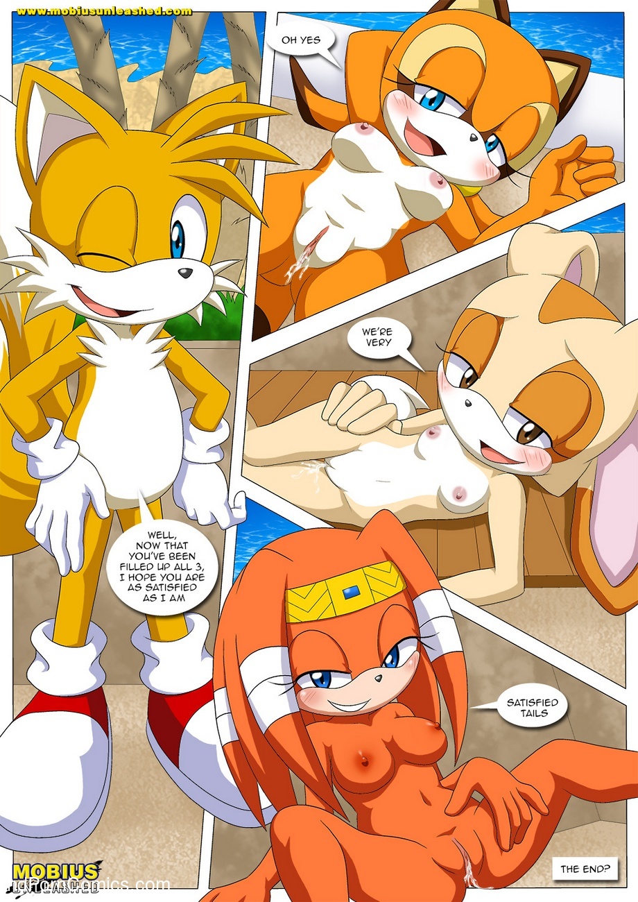 alluring bbmbbf comic cream_the_rabbit creampie cum_in_pussy cum_inside marine_the_raccoon miles_"tails"_prower mobius_unleashed palcomix poolside_fun_extended sega sonic_(series) sonic_the_hedgehog_(series) tikal_the_echidna