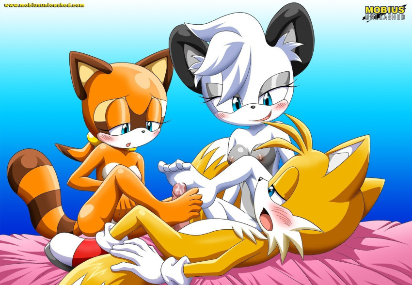 archie_comics barby_koala bbmbbf footjob marine_the_raccoon miles_"tails"_prower mobius_unleashed palcomix sega sonic_(series) sonic_the_hedgehog_(series) tagme