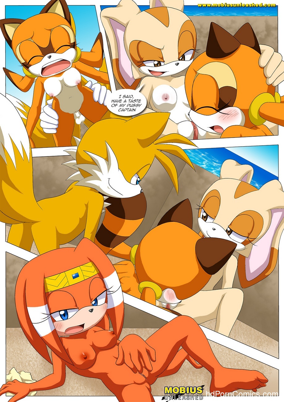 bbmbbf comic cream_the_rabbit marine_the_raccoon miles_"tails"_prower mobius_unleashed palcomix poolside_fun_extended sega sonic_(series) sonic_the_hedgehog_(series) tikal_the_echidna