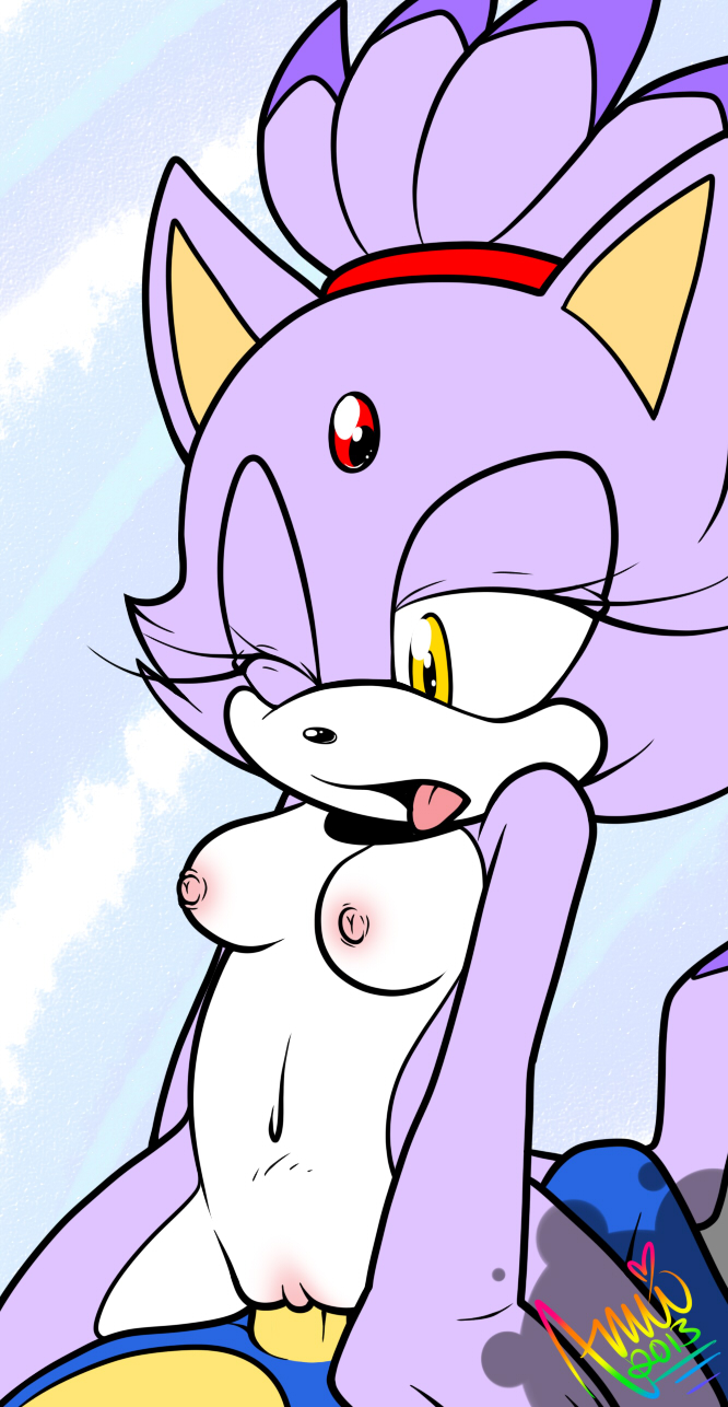 1girl amuzoreh blaze_the_cat breasts cat_ears furry girl_on_top nipples nude pussy sex sonic sonic_the_hedgehog tail yellow_eyes