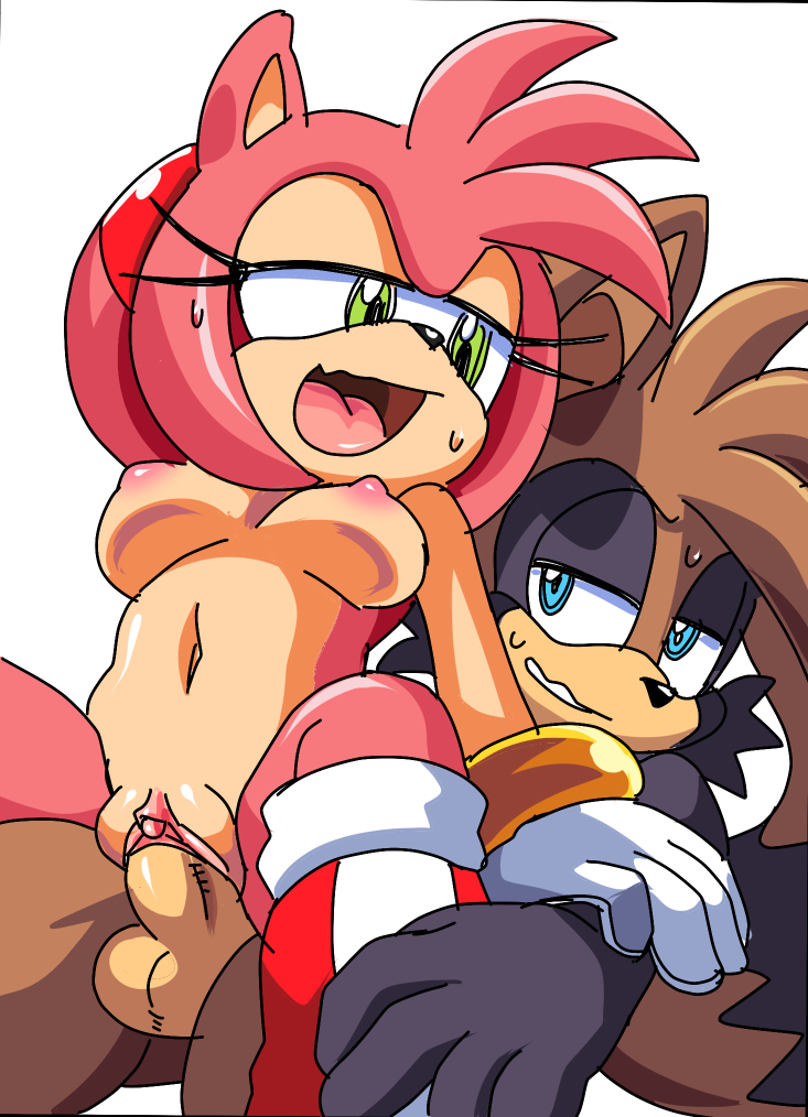 1girl 2016 amy_rose anthro areola big_breasts breasts coolblue duo erect_nipples erection fan_character furry hedgehog male mammal navel nipples nude penetration penis pussy raccoon sega sex testicles vaginal vaginal_penetration