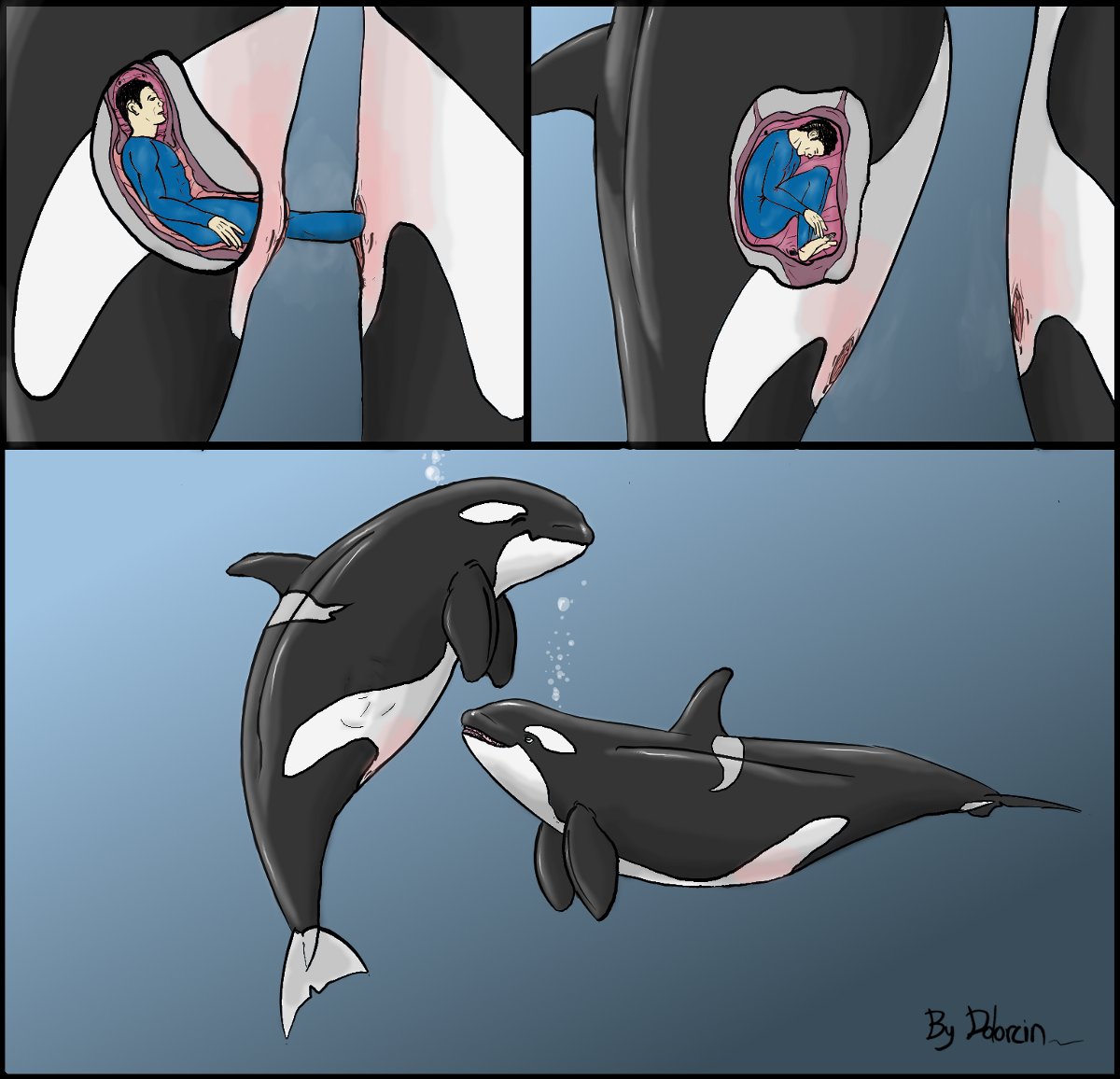 1girl animal cervix cetacean dolorcin feral full_body human internal interspecies male marine orca pussy size_difference unbirthing zoo