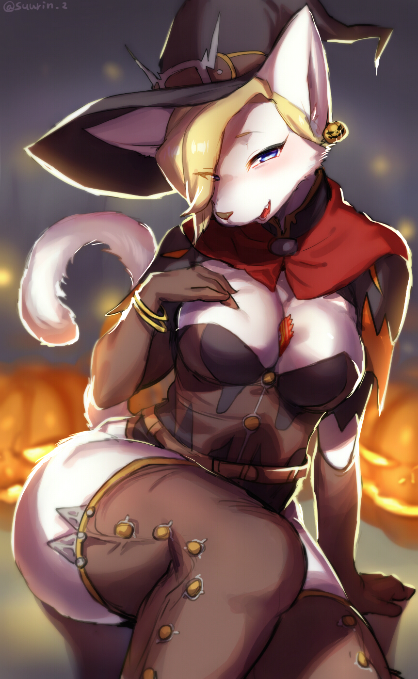 1girl anthro between_breasts blonde_hair blue_eyes breasts cat cleavage clothed clothing corset feline food fruit fur furry hair hair_over_eye hat high_res jack-o'-lantern ksyaro lingerie magic_user mammal mercy_(overwatch) overwatch pumpkin video_games white_fur witch witch_hat