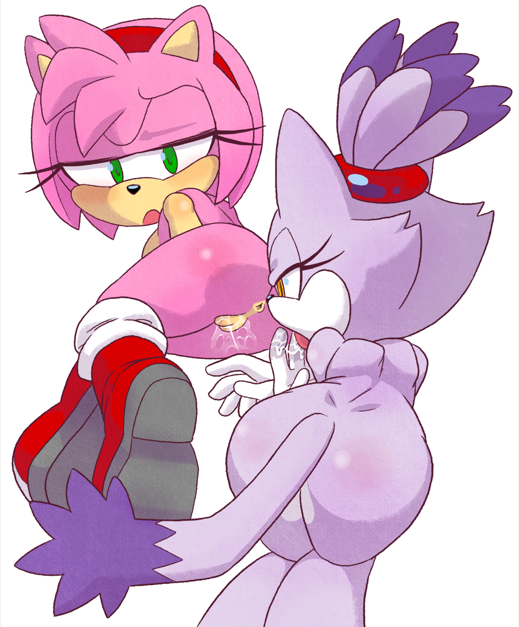 amy_rose blaze_the_cat hecticarts sonic_(series) tagme