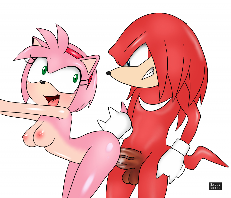 1boy 1girl amy_rose animal_ears breasts cute from_behind furry green_eyes knuckles_the_echidna nipples open_mouth penis pink_hair sex short_hair smile sonic_(series) tail testicle