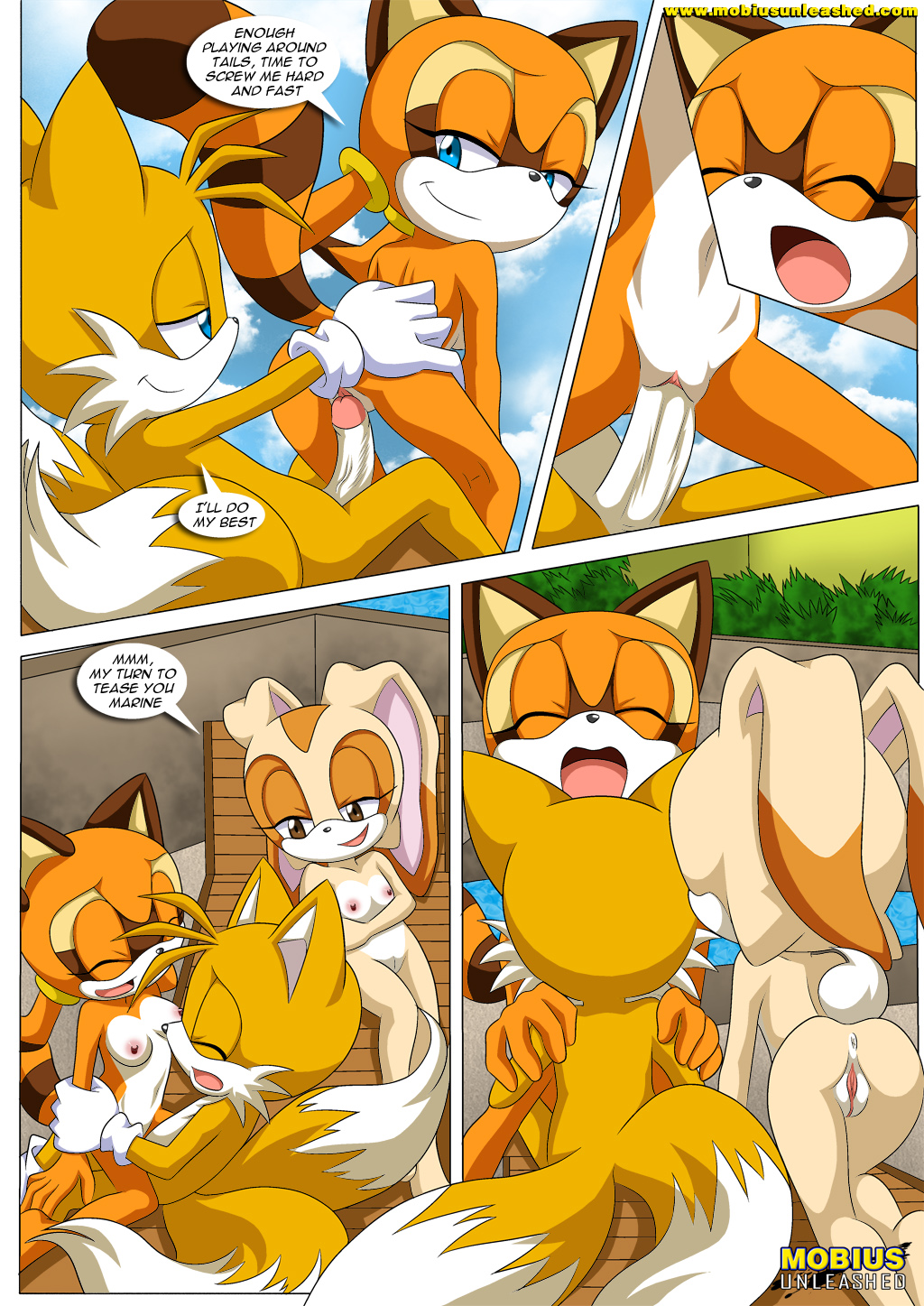 bbmbbf comic cream_the_rabbit marine_the_raccoon miles_"tails"_prower mobius_unleashed palcomix poolside_fun_extended sega sonic_(series) sonic_the_hedgehog_(series) tagme
