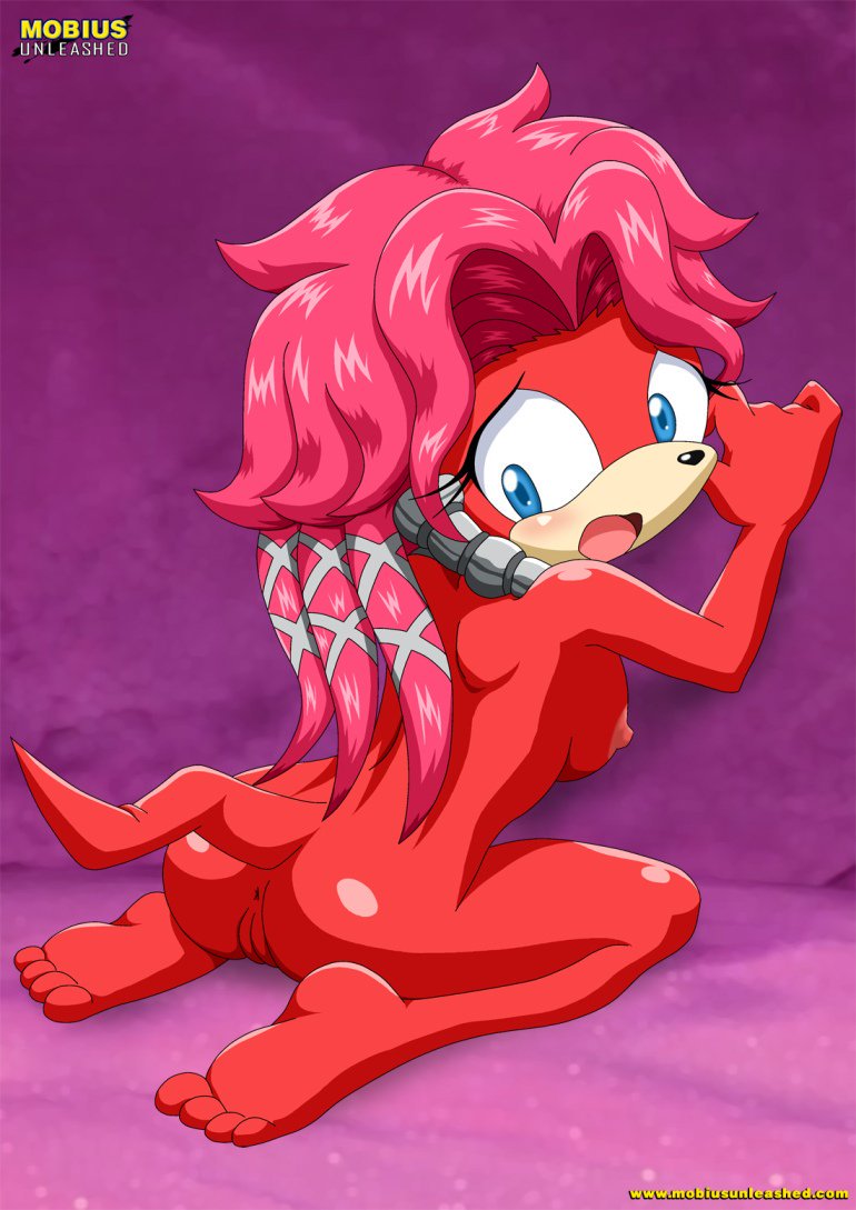 archie_comics bbmbbf blush lien-da mobius_unleashed on_knees palcomix ready_for_it sega soles sonic_(series) sonic_the_hedgehog_(series) toes