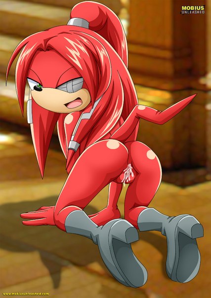 archie_comics bbmbbf cybernetic_eye gae-na grin looking_back mobius_unleashed nude on_all_fours palcomix sega sonic_(series) sonic_the_hedgehog_(series) wet_pussy