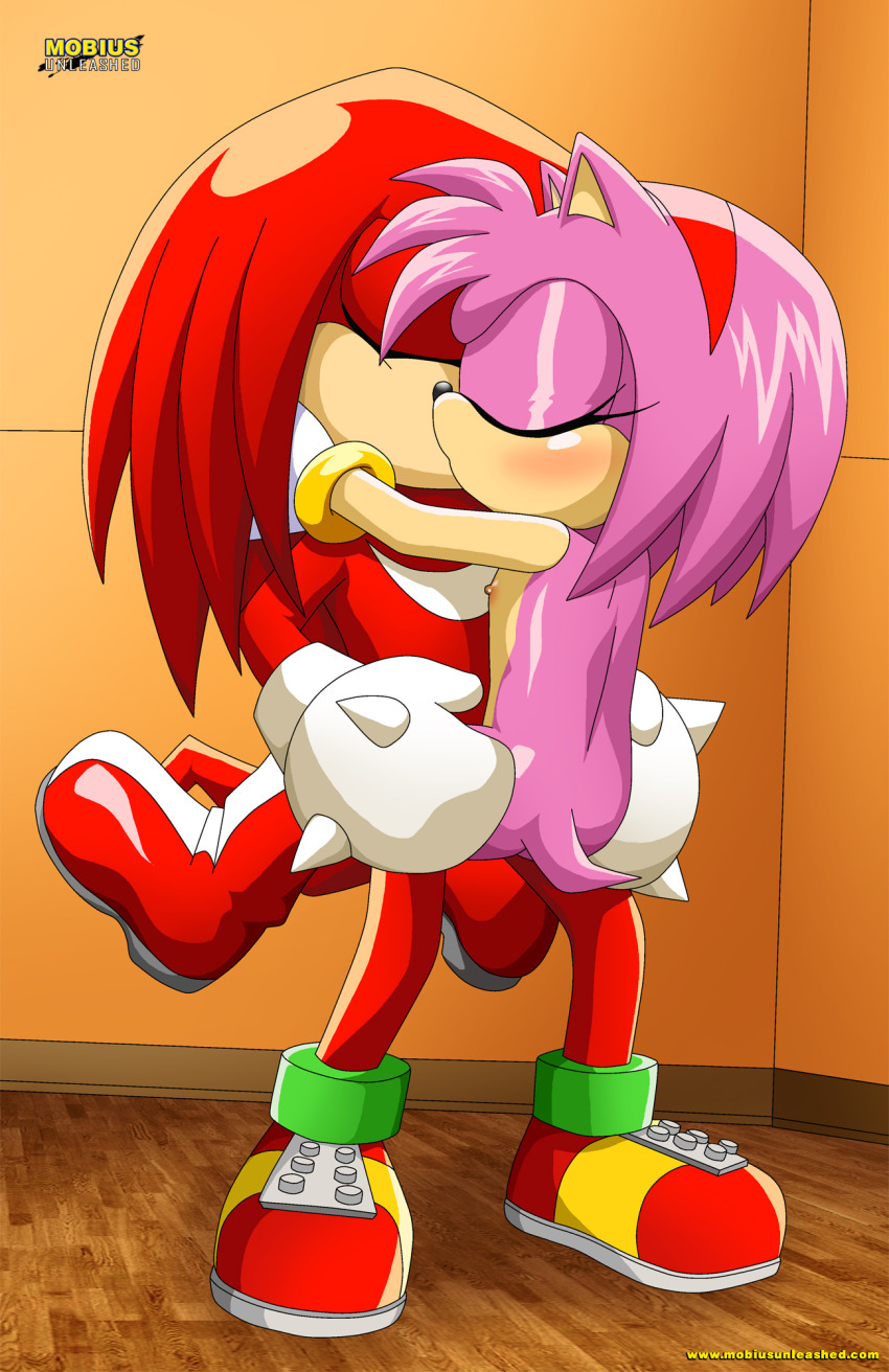 amy_rose bbmbbf closed_eyes embrace hetero holding kissing knuckles_the_echidna mobius_unleashed palcomix sega sonic_(series) sonic_the_hedgehog_(series) stand_and_carry_position straight suspended_congress