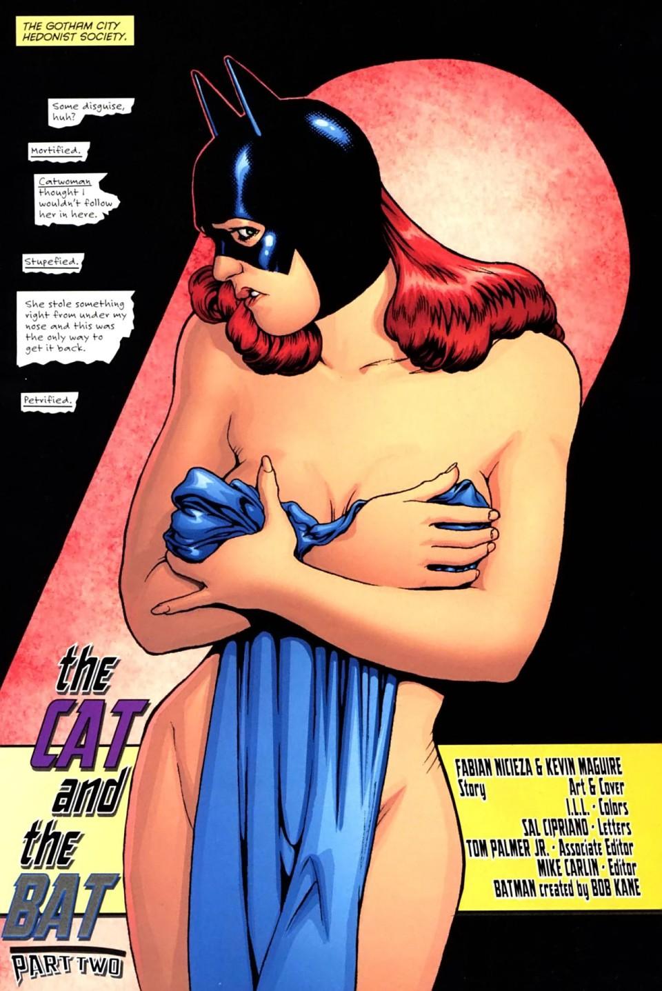 barbara_gordon batgirl batman_(series) covering dc dc_comics nude red_hair redhead