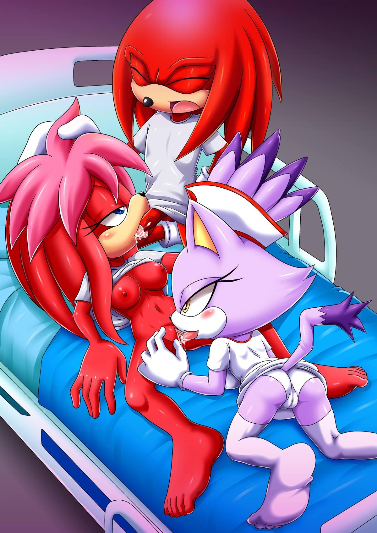 archie_comics bbmbbf blaze_the_cat dat_ass fellatio furry hand_on_head hospital_bed hospital_gown knuckles_the_echidna licking_pussy lien-da mobius_unleashed nipples oral palcomix panties pussylicking sega sonic_(series) sonic_the_hedgehog_(series) stockings