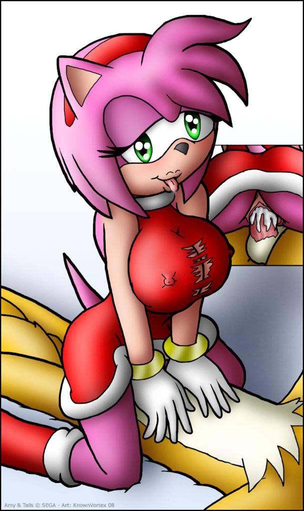 amy_rose knownvortex miles_"tails"_prower multiple_tails sega sonic_(series) sonic_team tail