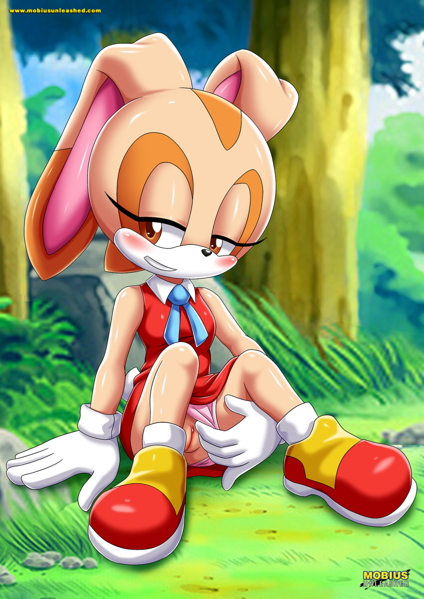 1girl aged_up bbmbbf cream_the_rabbit mobius_unleashed palcomix pussy sega sonic_(series) sonic_the_hedgehog_(series)
