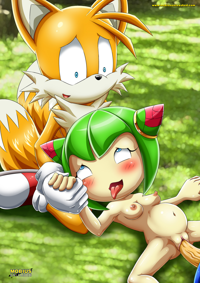 bbmbbf blush breasts cosmo_the_seedrian horny impregnated interspecies_pregnancy miles_"tails"_prower mobius_unleashed multiple_tails nude palcomix pregnant pregnant_belly pregnant_female pregnant_sex sega sonic_(series) sonic_the_hedgehog sonic_the_hedgehog_(series) sonic_x tail teen
