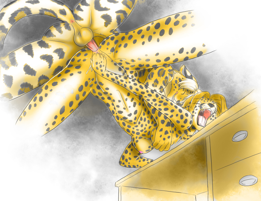 anal anal_penetration anus breasts ass cheetah desk closed_eyes female from_below furry high_res leopard male masturbation penetration penis perspective pussy pussy_juice sex