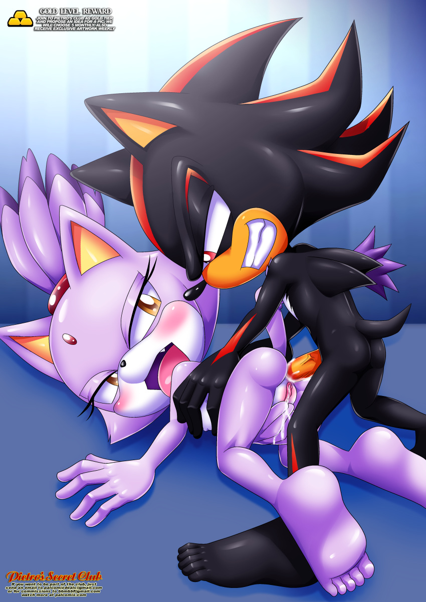 anal bbmbbf blaze_the_cat cum doggy_position full_body mobius_unleashed palcomix pietro's_secret_club sega shadow_the_hedgehog sonic_(series) sonic_the_hedgehog_(series) tagme