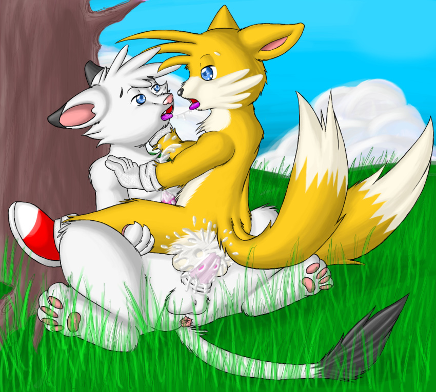 crossover kimba_the_white_lion miles_"tails"_prower multiple_tails sonic_team tail xranzem