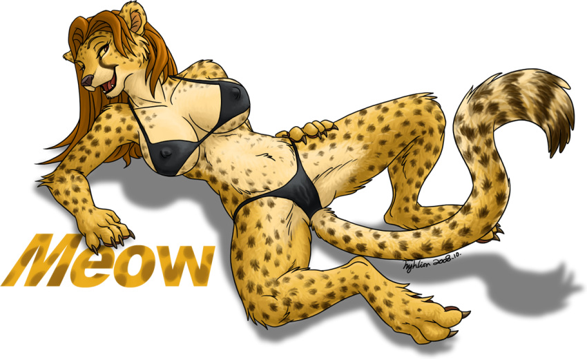 alpha_channel bikini cheetah feline female furry hyhlion hyhlion_(artist) meow nipples solo spread_legs spreading swimsuit