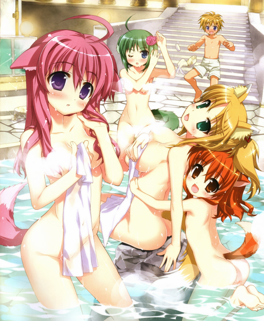 1boy 4girls :d absurd_res absurdres ahoge animal_ears ass barefoot blonde_hair blue_eyes blush breasts brown_eyes brown_hair censored cleavage convenient_bath_steam convenient_censoring dog_days dog_ears dog_tail eclair_martinozzi feet fingernails flower fox_ears fox_tail fujima_takuya green_eyes green_hair hair_flower hair_ornament high_res highres long_hair looking_at_viewer millhiore_f_biscotti mixed_bathing multiple_girls navel nude one_eye_closed onsen open_mouth pink_hair ponytail purple_eyes ricotta_elmar shinku_izumi short_hair shorts sideboob sitting smile soap steam steam_censor tail towel wading wet wink yukikaze_panettone
