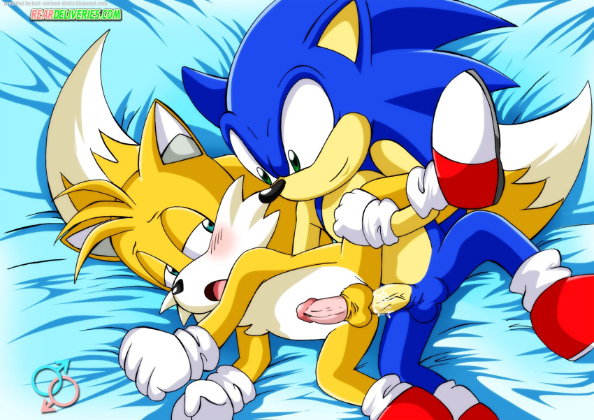 anal bbmbbf male male_only miles_"tails"_prower mobius_unleashed multiple_tails palcomix rear_deliveries sega sonic_(series) sonic_the_hedgehog sonic_the_hedgehog_(series) tagme tail yaoi