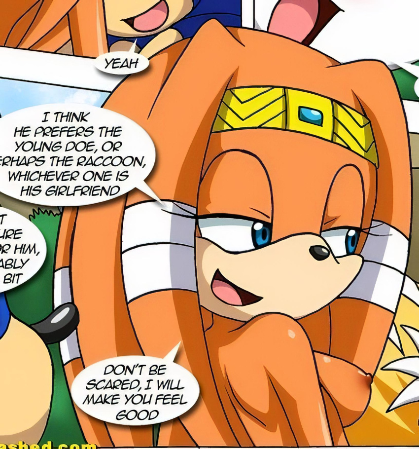 bbmbbf cropped mario_&amp;_sonic_(comic) miles_"tails"_prower mobius_unleashed palcomix sega sonic_(series) sonic_the_hedgehog sonic_the_hedgehog_(series) tagme tikal_the_echidna
