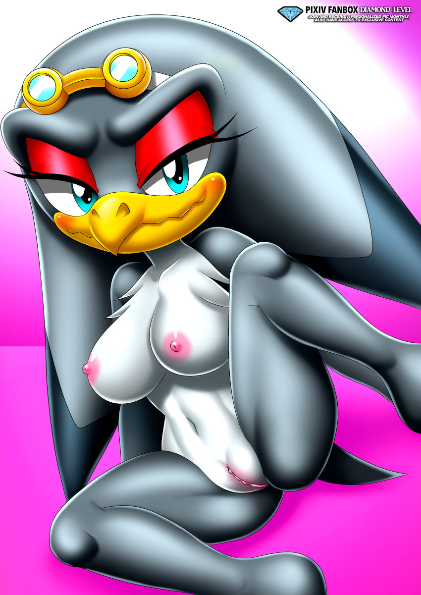 1girl bbmbbf female_only mobius_unleashed palcomix pietro's_secret_club pussy sega sonic_(series) sonic_the_hedgehog_(series) storm_the_albatross vagina