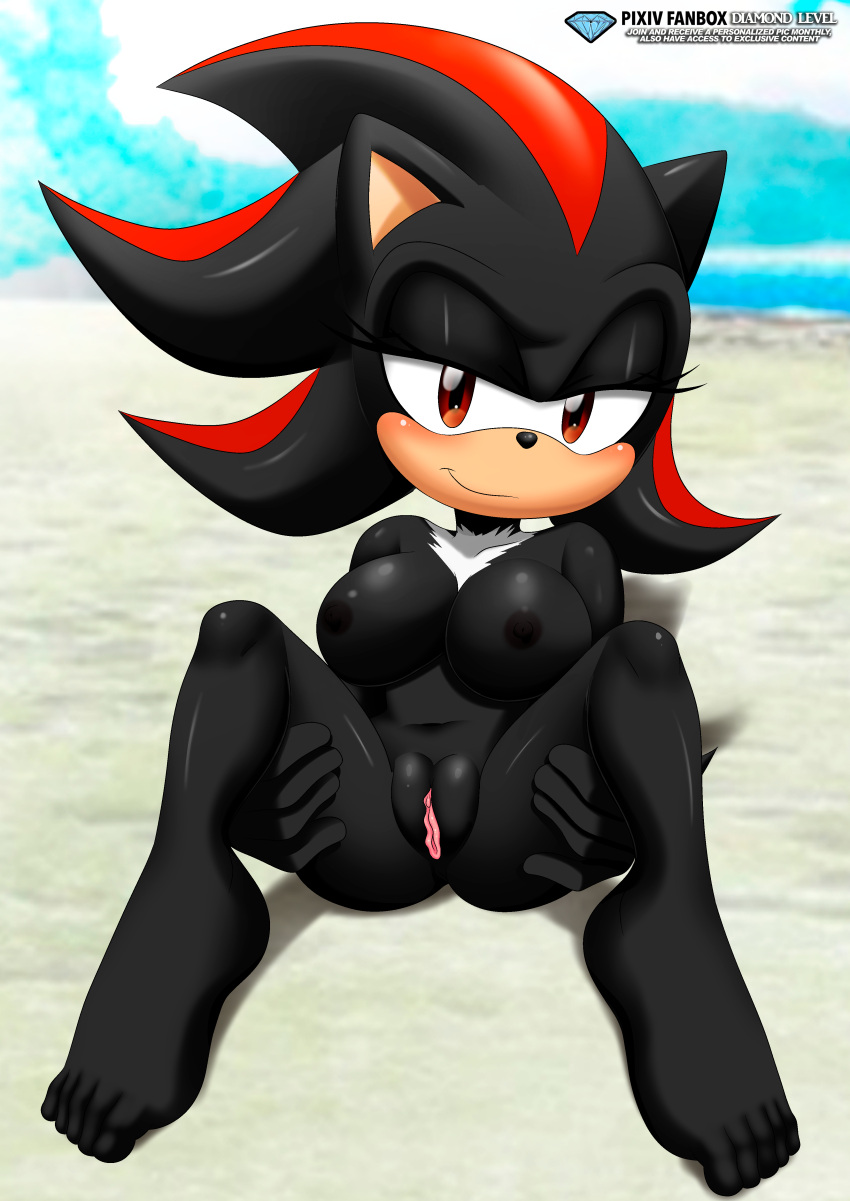 1girl bbmbbf feet female_only full_body mobius_unleashed palcomix pietro's_secret_club pussy sega shadow_the_hedgehog sonic_(series) sonic_the_hedgehog_(series) vagina