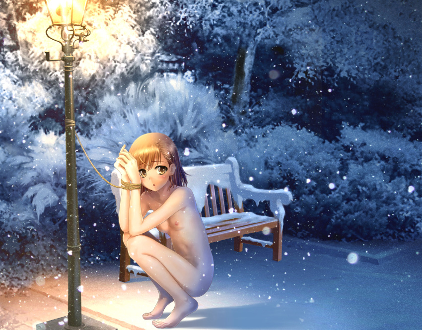1girl :o barefoot bdsm bench blush bondage bound bound_wrists breasts brown_eyes brown_hair bush cold exhibitionism flat_chest high_res highres lamppost long_legs misaka_mikoto misakamitoko0903 night nipples nude on_toes open_mouth outdoors outside public public_nudity rope short_hair small_breasts snow snowing solo squatting tiptoes to_aru_kagaku_no_railgun to_aru_majutsu_no_index toes tree