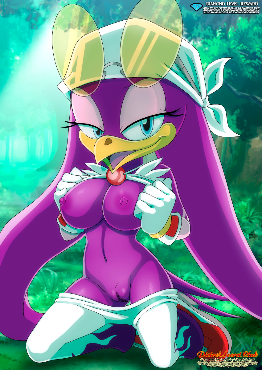 bandanna bbmbbf breasts flashing_breasts mobius_unleashed palcomix pietro's_secret_club purple_fur sega shades sonic_(series) sonic_the_hedgehog_(series) wave_the_swallow