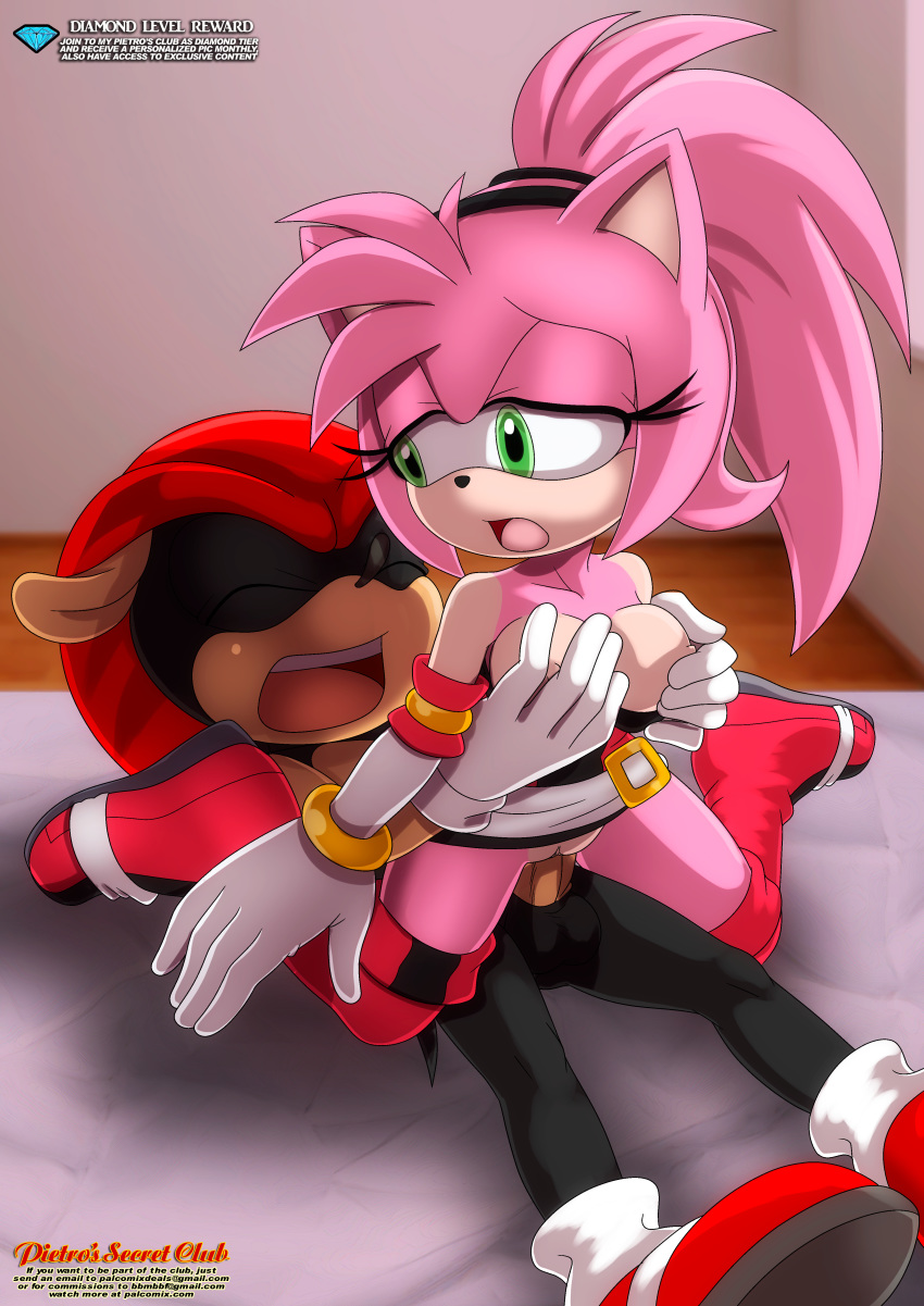 amy_rose bbmbbf breast_grab breasts girl_on_top groping groping_breasts hetero looking_back male/female mighty_the_armadillo moan mobius_unleashed palcomix pietro's_secret_club ponytail reverse_cowgirl_position sega sonic_(series) sonic_the_hedgehog_(series)
