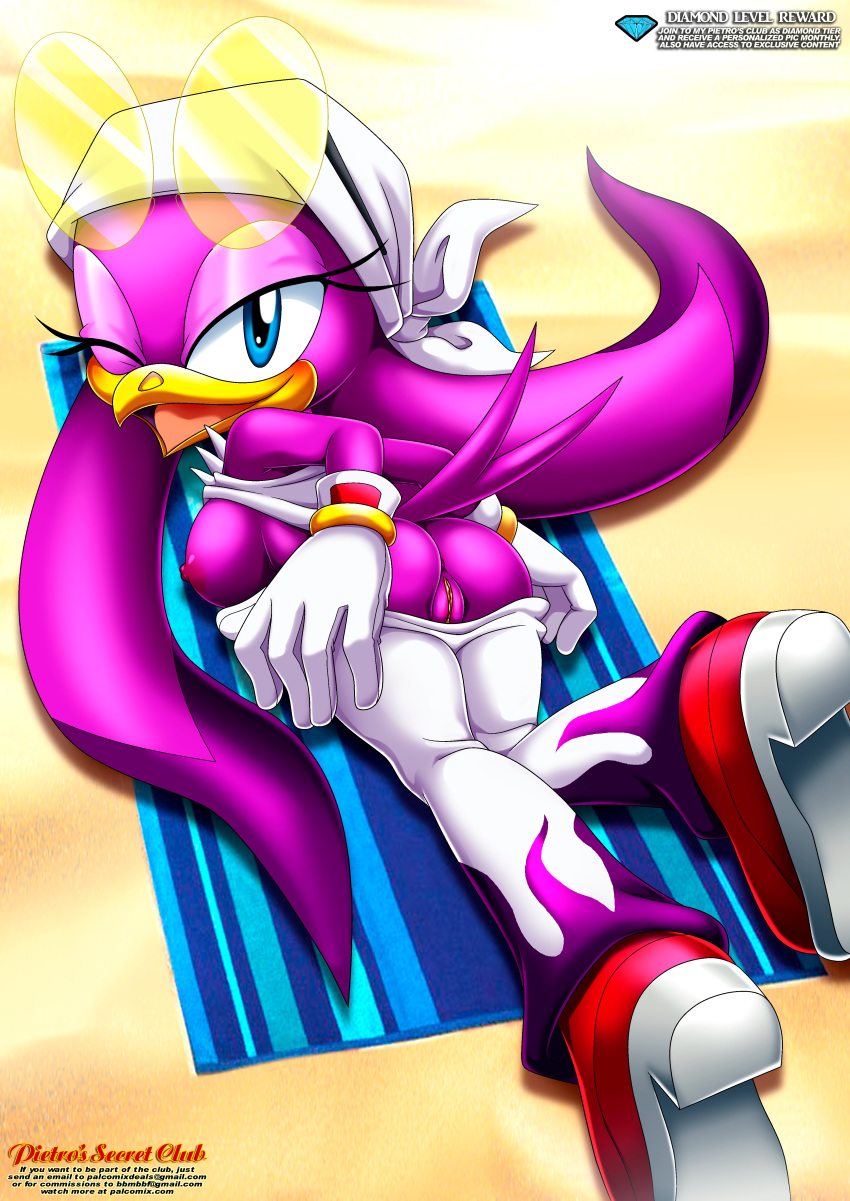 bandanna bbmbbf breasts full_body mobius_unleashed palcomix pietro's_secret_club purple_fur pussy sega shades sonic_(series) sonic_the_hedgehog_(series) wave_the_swallow