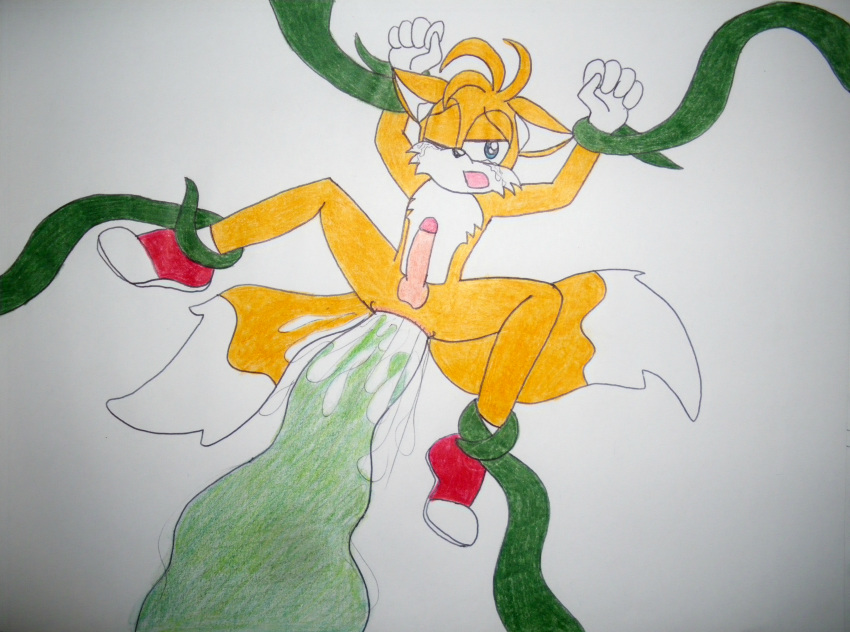 anal fox male male_only miles_"tails"_prower rape solo sonic_(series) sonicyaoihaven_(artist) tentacle
