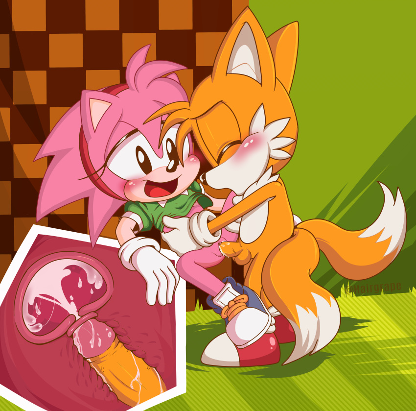 amy_rose apinkgrape furry miles_"tails"_prower nipples rosy_the_rascal sega sonic_the_hedgehog_(series) tagme