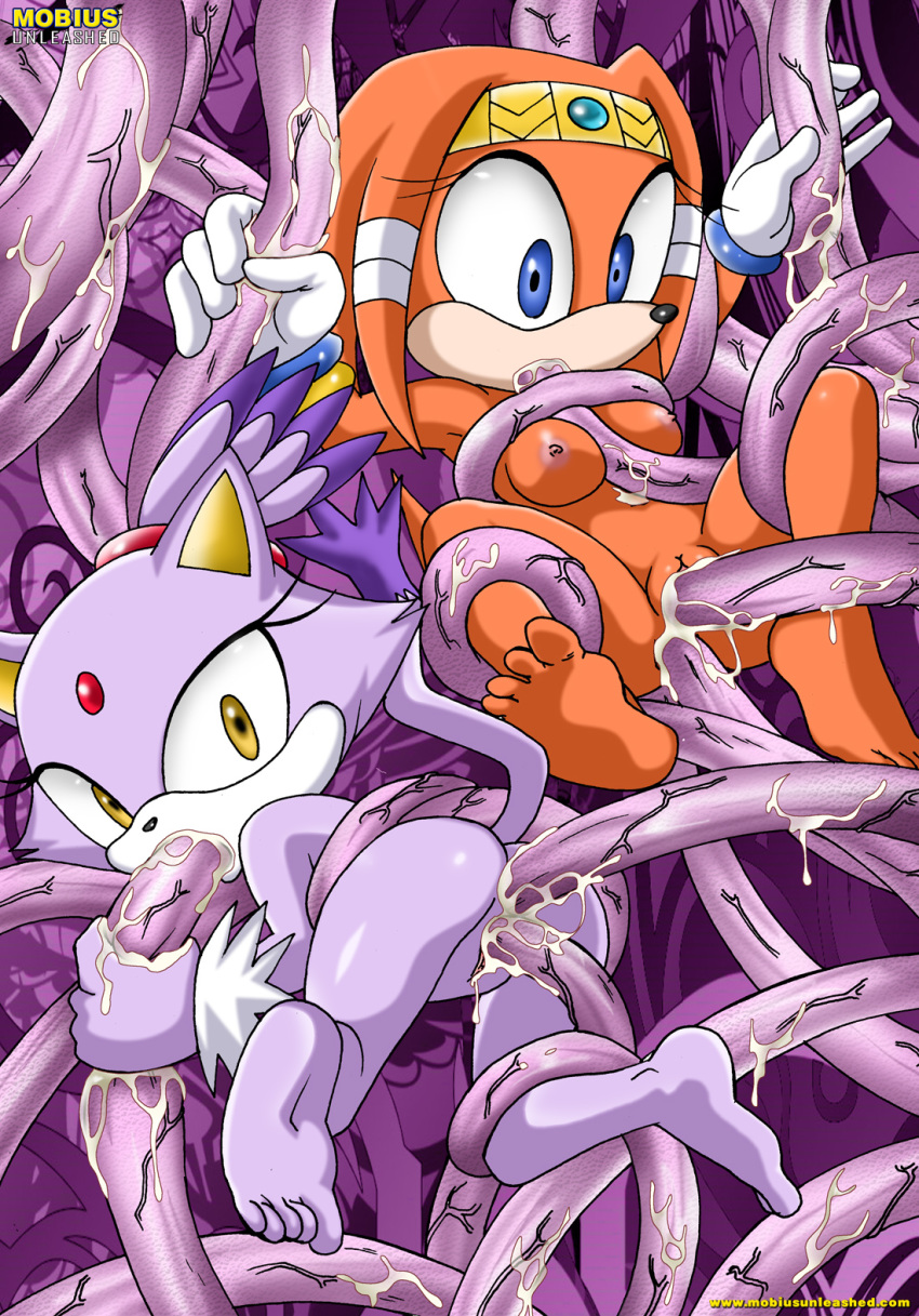 anthro bbmbbf blaze_the_cat furry mobius_unleashed palcomix sega sonic_(series) sonic_team sonic_the_hedgehog_(series) tikal_the_echidna