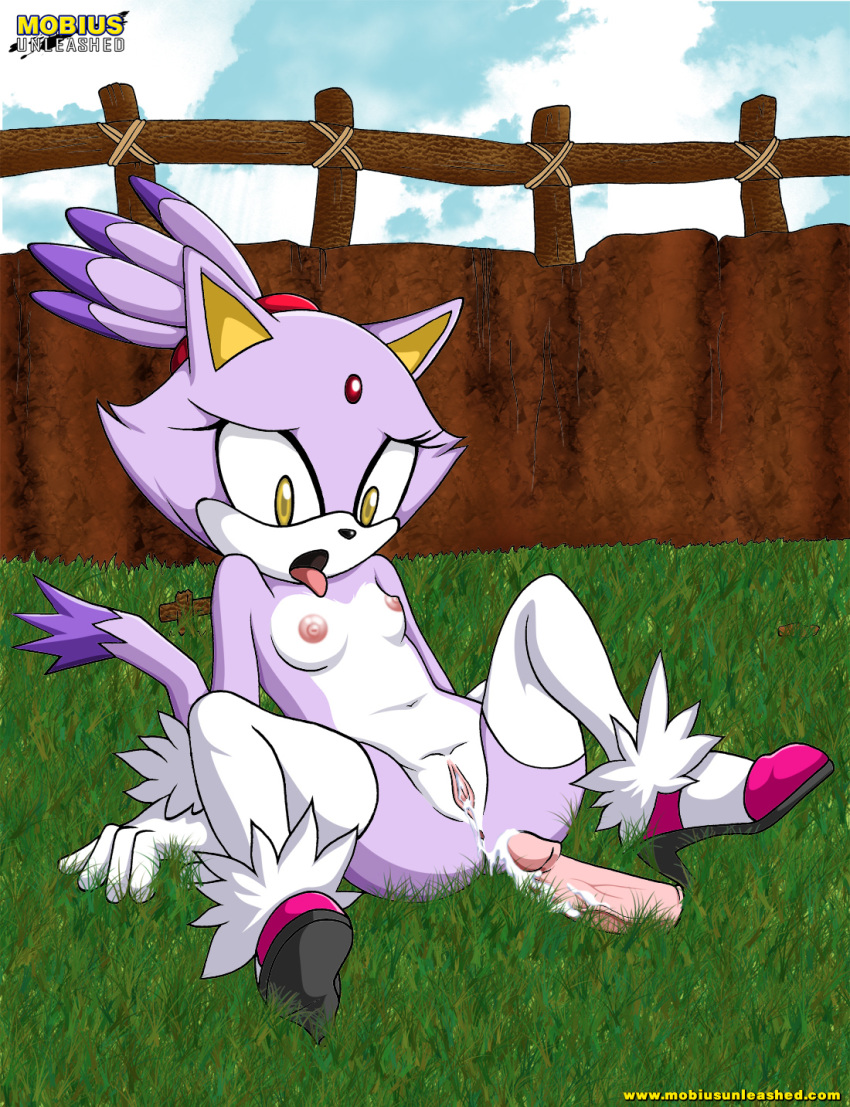 anthro bbmbbf blaze_the_cat breasts cat dildo feline female furry mobius_unleashed nude orgasm palcomix plump_labia pussy pussy_juice sega sex_toy solo sonic_(series) sonic_team sonic_the_hedgehog_(series) spreading