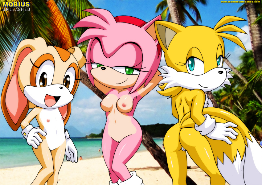 amy_rose anthro bbmbbf cream_the_rabbit furry miles_"tails"_prower millie_tailsko mobius_unleashed palcomix sega sonic_(series) sonic_team sonic_the_hedgehog_(series)