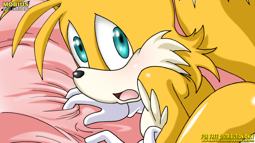 anthro bbmbbf comic furry miles_"tails"_prower millie_tailsko mobius_unleashed palcomix sega sonic_(series) sonic_team sonic_the_hedgehog_(series)