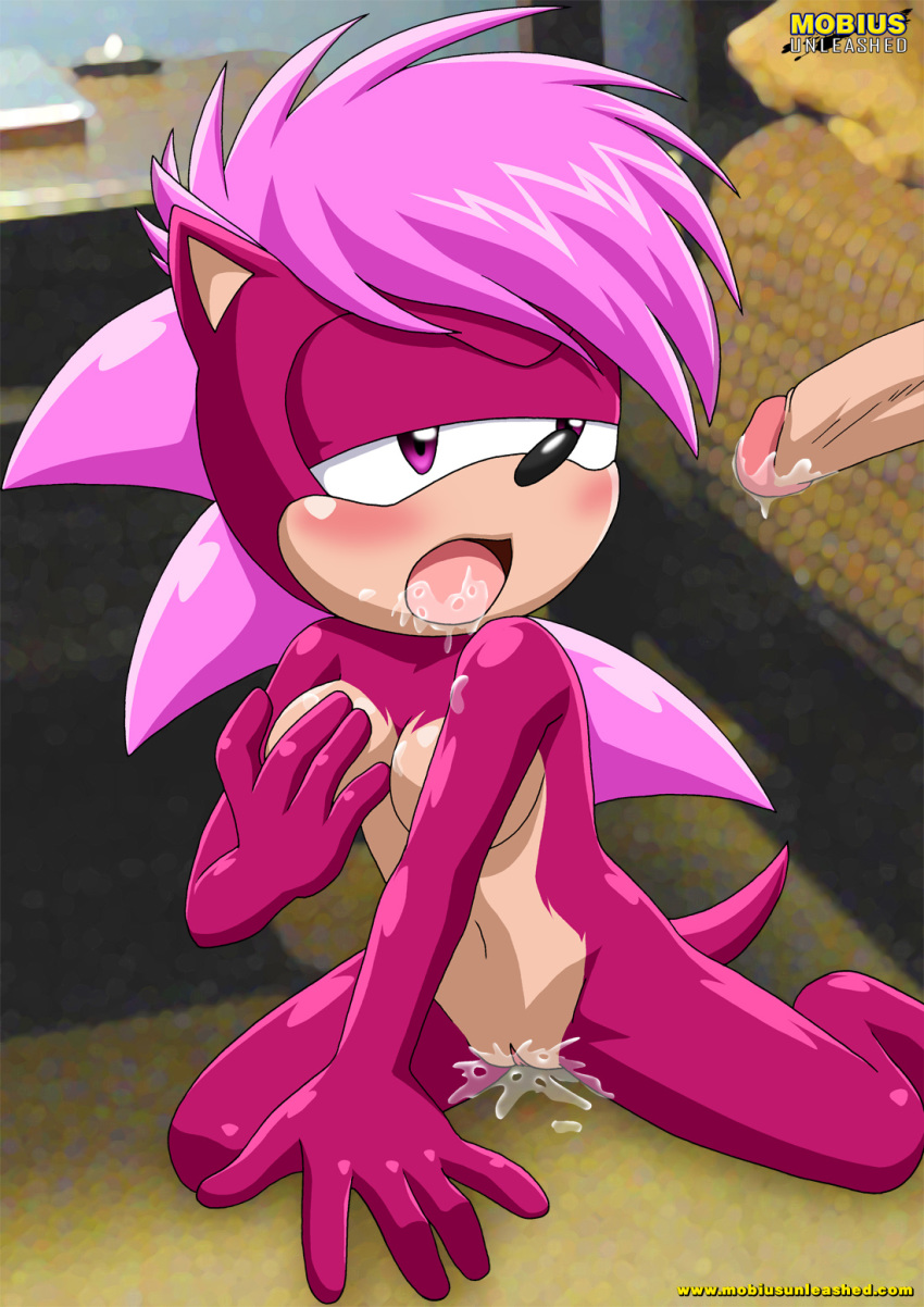 anonymous anthro bbmbbf blush countershading cum female furry hedgehog kneel male/female mobius_unleashed nude oral palcomix penis pussy pussy_juice sega sex sonia_the_hedgehog sonic sonic_(series) sonic_the_hedgehog_(series) sonic_underground