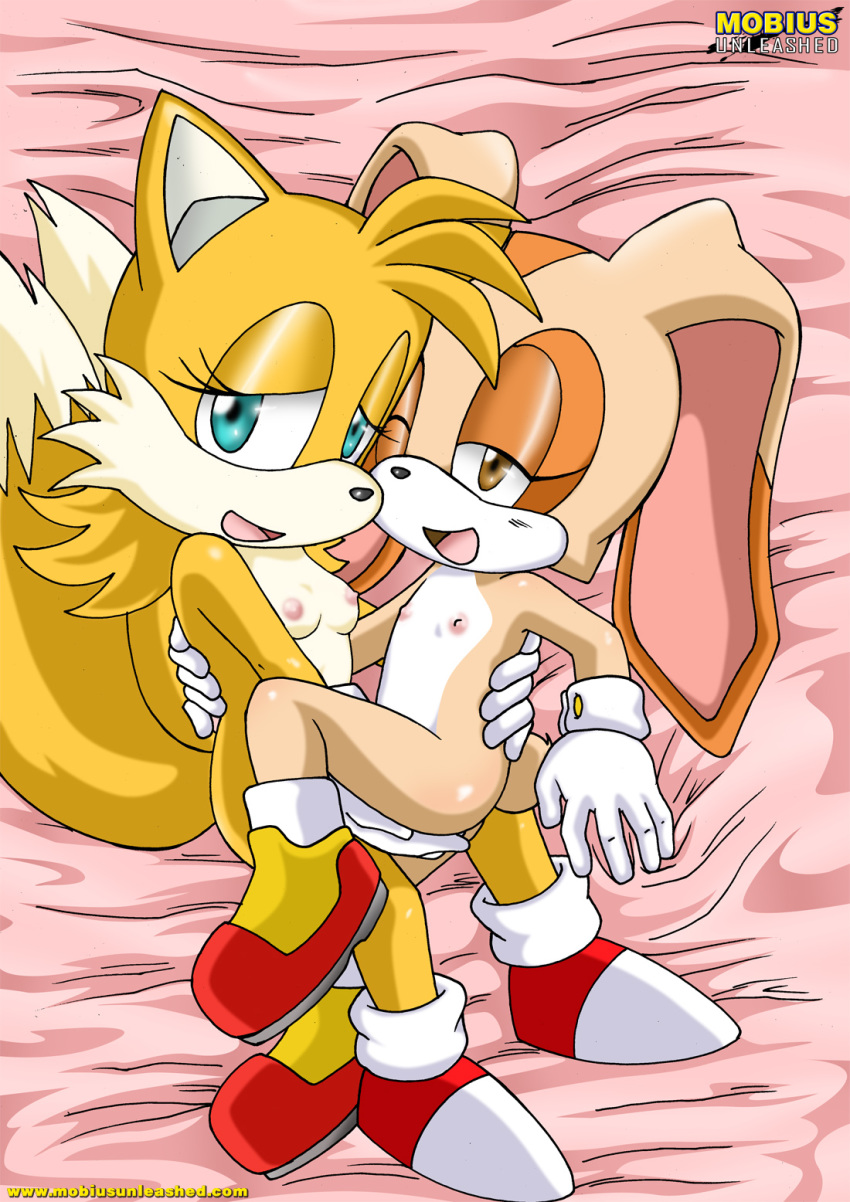 anthro bbmbbf cream_the_rabbit furry miles_"tails"_prower millie_tailsko mobius_unleashed palcomix sega sonic sonic_(series) sonic_the_hedgehog_(series)