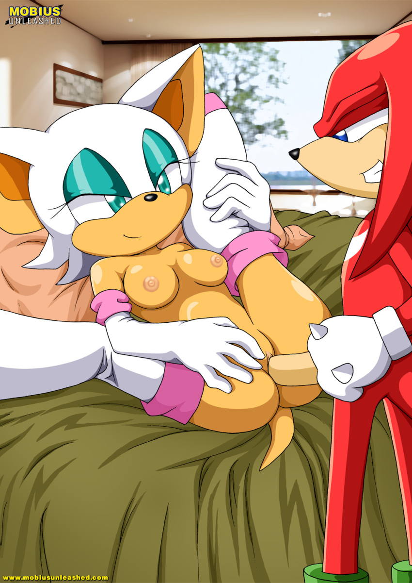 anthro bbmbbf furry knuckles_the_echidna mobius_unleashed palcomix rouge_the_bat sega sonic_(series) sonic_team sonic_the_hedgehog_(series)