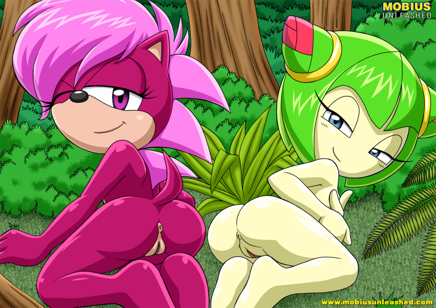 anthro anus bbmbbf blue_eyes butt cosmo_the_seedrian dat_ass female furry green_hair hair hedgehog looking_at_viewer looking_back mammal mobius_unleashed nude palcomix presenting presenting_hindquarters purple_eyes pussy sega smile sonia_the_hedgehog sonic_(series) sonic_team sonic_the_hedgehog_(series) sonic_underground sonic_x