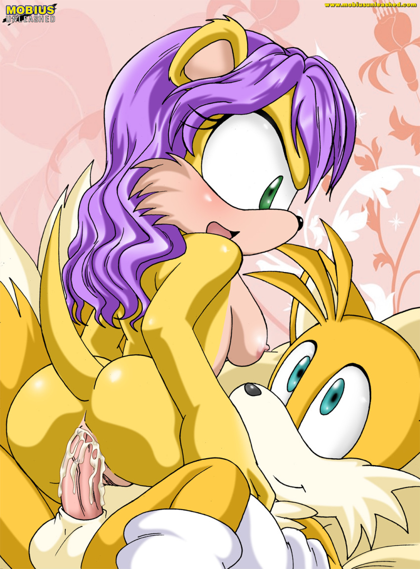 anthro archie_comics bbmbbf furry miles_"tails"_prower mina_mongoose mobius_unleashed palcomix sega sonic_(series) sonic_team sonic_the_hedgehog_(series)