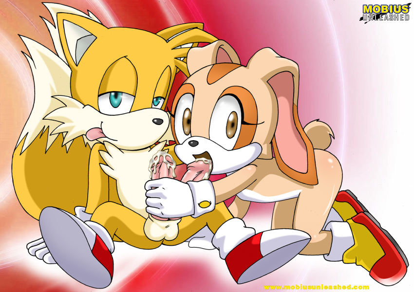 anthro bbmbbf cream_the_rabbit furry miles_"tails"_prower mobius_unleashed palcomix sega sonic_(series) sonic_team sonic_the_hedgehog_(series)
