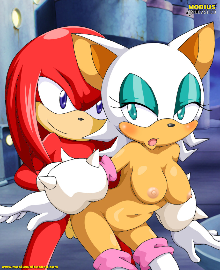 anthro bbmbbf breasts chubby female from_behind furry knuckles_the_echidna male mobian mobius_unleashed palcomix penis rouge_the_bat sega sonic_(series) sonic_team sonic_the_hedgehog_(series)