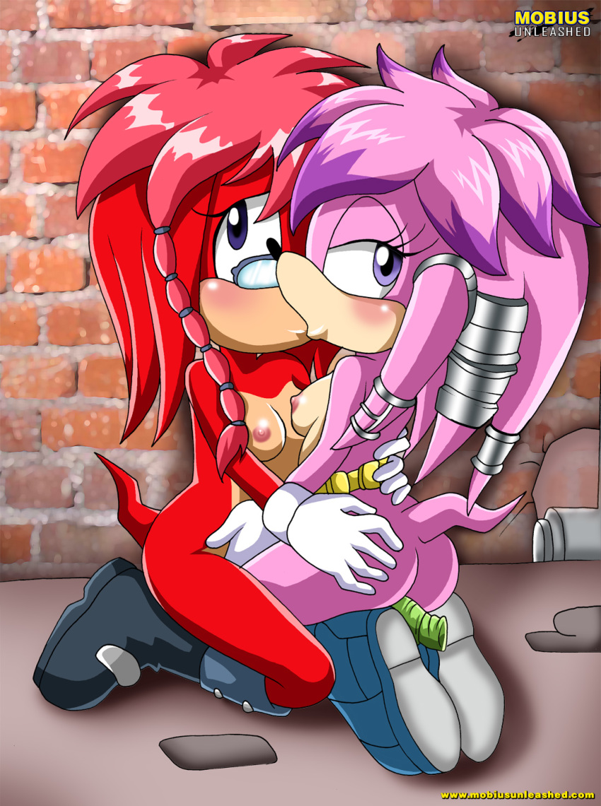 alley anal anal_penetration anthro archie_comics bbmbbf blush butt dildo echidna embrace female/female female_only furry incest julie-su kissing kneel lara-su looking_at_viewer mobius_unleashed nude on_knees palcomix penetration sega sex_toy sonic_(series) sonic_the_hedgehog_(series) tail yuri