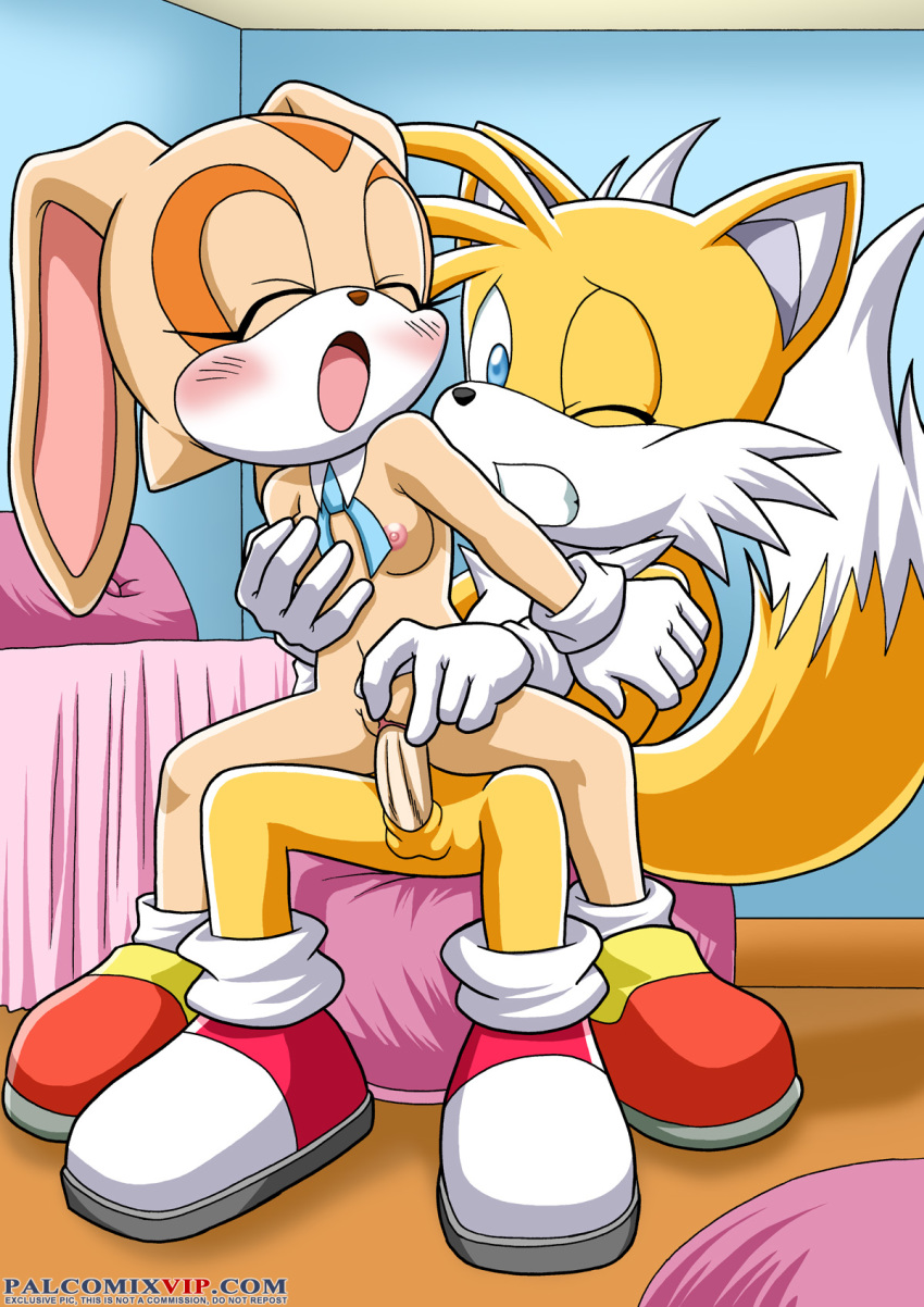 1boy 1girl anthro areolae bbmbbf breast_grab breasts cream_the_rabbit female furry girl_on_top miles_"tails"_prower mobius_unleashed multiple_tails nipples open_mouth palcomix palcomix_vip penis pussy pussy_juice reverse_cowgirl_position sega sex sonic_(series) sonic_the_hedgehog_(series) tail vaginal vaginal_penetration