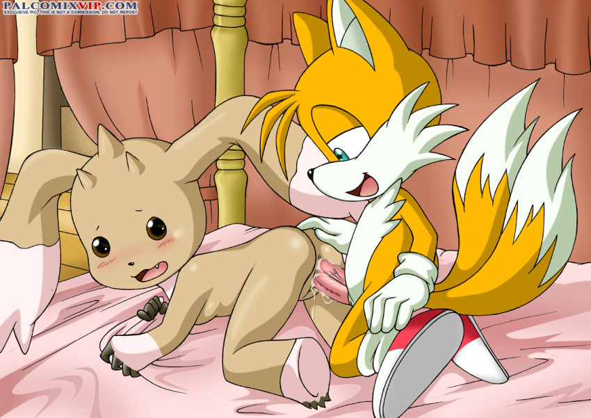 bbmbbf blush breasts digihentai digimon female miles_"tails"_prower mobius_unleashed palcomix palcomix_vip sega sonic_(series) sonic_the_hedgehog_(series)