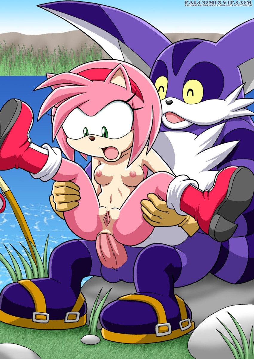 1boy 1girl amy_rose anal areolae bbmbbf big_the_cat breasts cat female male mobius_unleashed nipples nude palcomix palcomix_vip penis sega sonic_(series) sonic_the_hedgehog_(series) spread_legs testicles